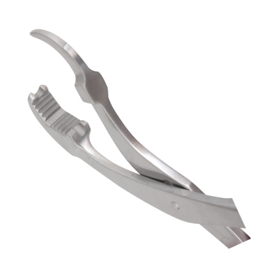 Bone Holding Forceps (Lambotte)